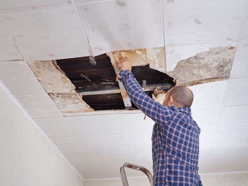 Ceiling Panel Repair